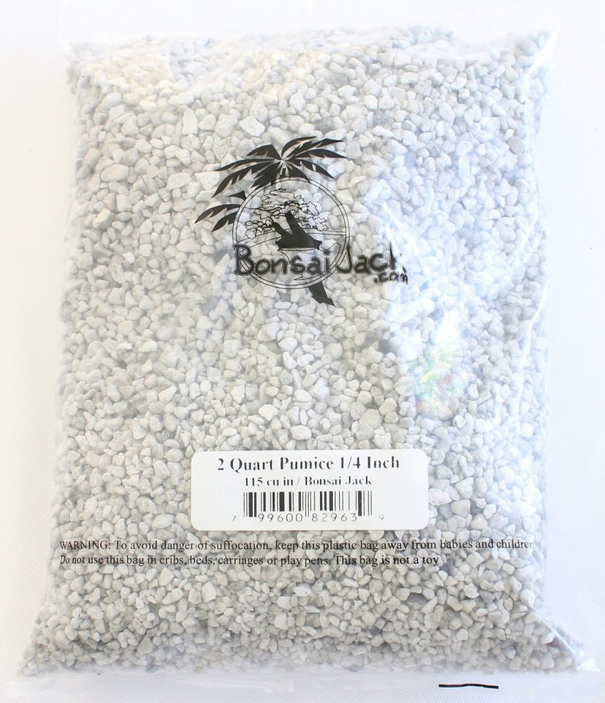 Pumice Bonsai Jack