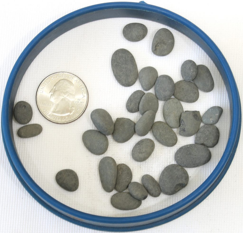 Top Dressing Bonsai Jack