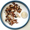 2 Dry Quarts Organic Conifer Bonsai Soil Mix. Juniper Plus. pH 5.8 Mix #1DFD1 - Image 2