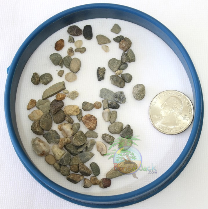 1 Dry Quart Earth Tone Top Dressing. 44oz Bonsai Jack