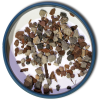 3 Gallons BonsaiJack Organic Bonsai Soil Mix 221 (12 Dry Quarts) - Image 2