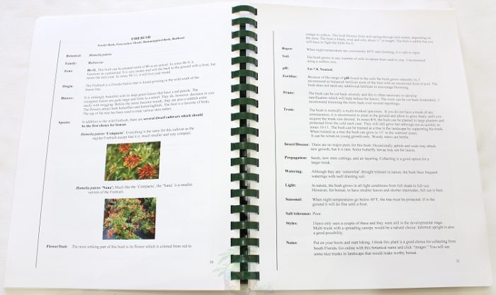 Tropical Green Sheets 2 - Image 4