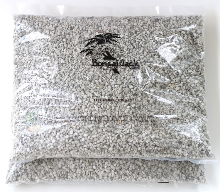 Pumice Bonsai Jack