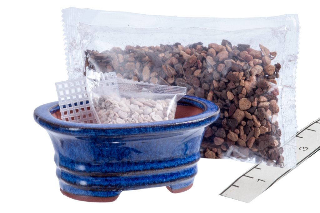 Succulent Soil Bonsai Jack