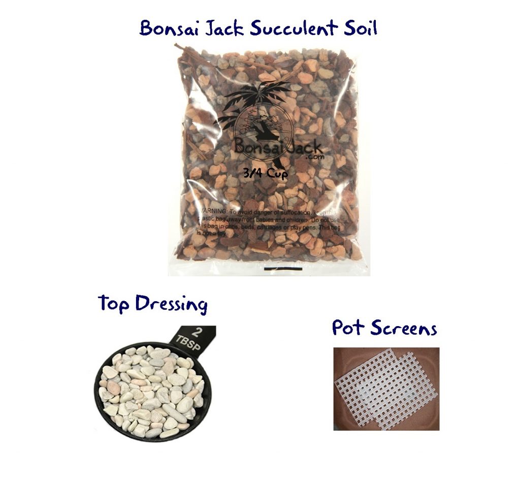 Succulent Soil Bonsai Jack