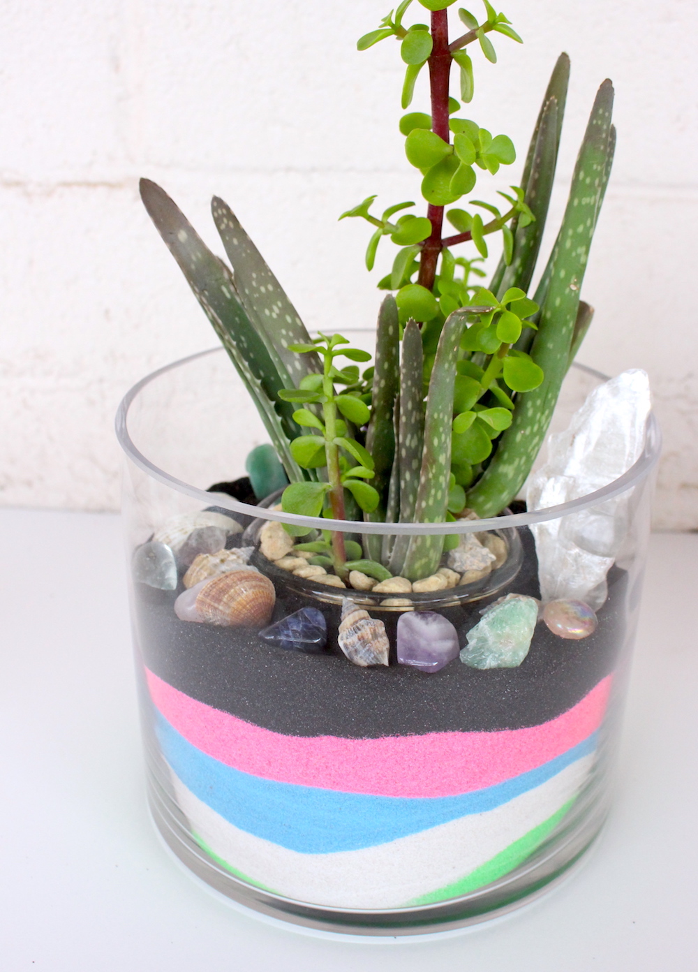 DIY Sand and Succulent Terrarium Bonsai Jack