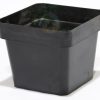 3 Inch Square Plastic Pots(36 Pack). Rigid Injection Mold. Black 6oz