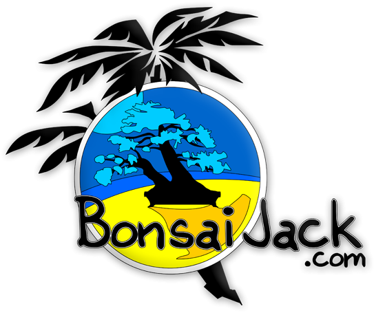 Bonsai Jack ©