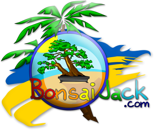 Bonsai Jack ©