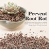 Jacks Gritty Mix soil for Succulent, Cacti and Bonsai - Image 8