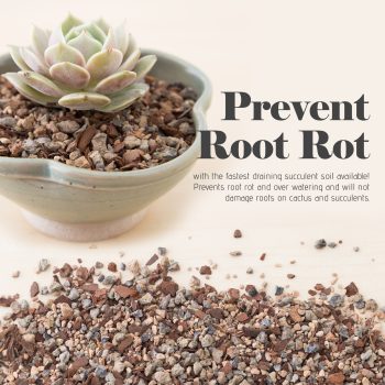 Jacks Gritty Mix soil for Succulent, Cacti and Bonsai - Image 8