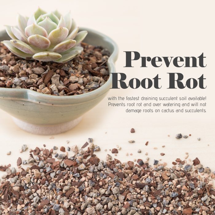 Jacks Gritty Mix soil for Succulent, Cacti and Bonsai - Image 8