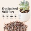 Jacks Gritty Mix soil for Succulent, Cacti and Bonsai - Image 7