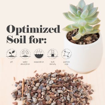 Jacks Gritty Mix soil for Succulent, Cacti and Bonsai - Image 7