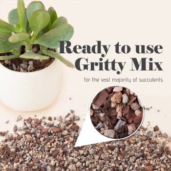 Jacks Gritty Mix soil for Succulent, Cacti and Bonsai - Image 6