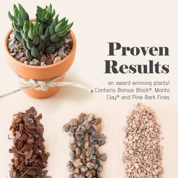 Jacks Gritty Mix soil for Succulent, Cacti and Bonsai - Image 5