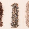 Jacks Gritty Mix soil for Succulent, Cacti and Bonsai - Image 4