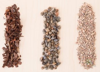 Jacks Gritty Mix soil for Succulent, Cacti and Bonsai - Image 4