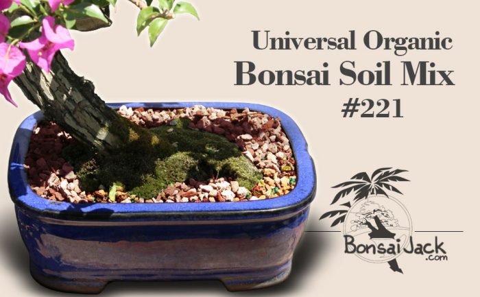 BonsaiJack Universal Organic Bonsai Soil Mix - Image 5