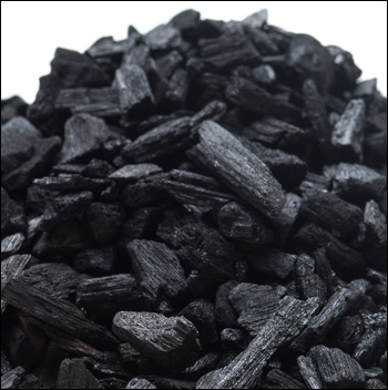 Horticulture Charcoal